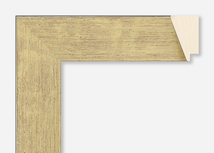 Custom Frame CFCY231-6007