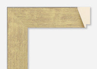 Custom Frame CFCY231-6007