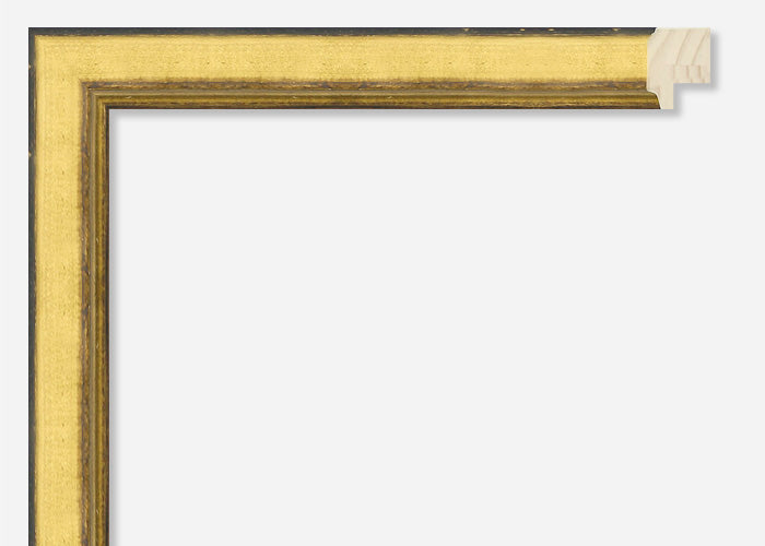 Custom Frame CFCY360-2107