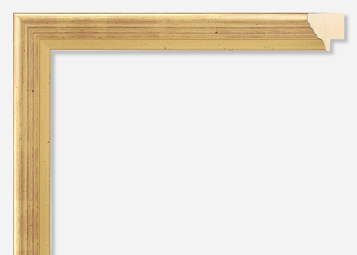 Custom Frame CFCY730-6007