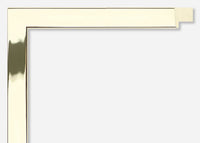 Custom Frame CFCYG1007