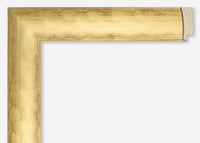 Custom Frame CFCYH5000