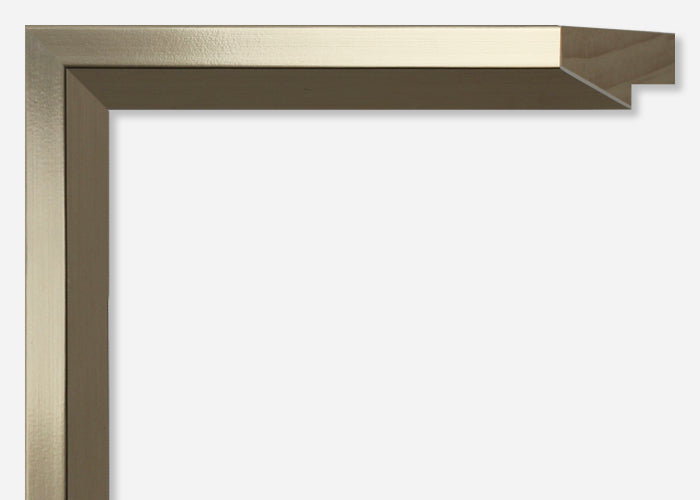 Custom Frame CFCYN2629