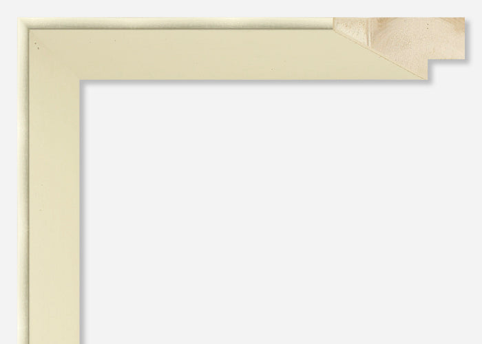 Custom Frame CFCYP2617