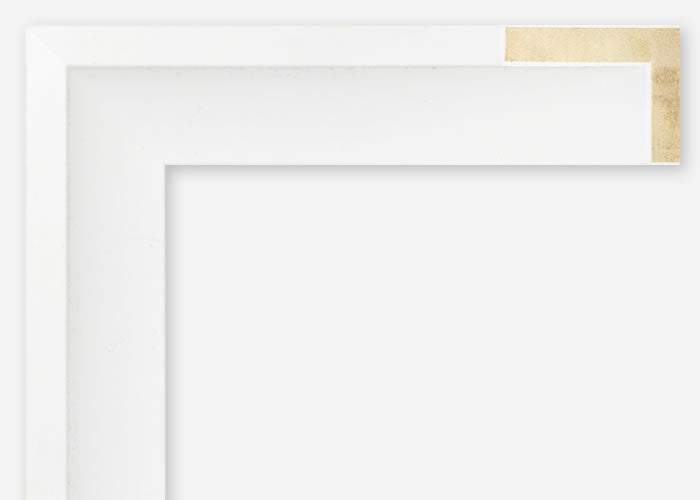 Custom Floater Frame CFCYP1711