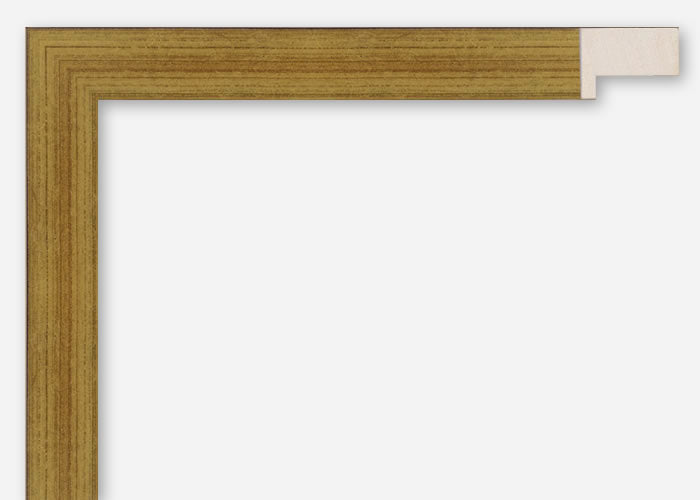 Custom Frame CFCYV1270