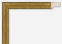 Custom Frame CFCYV1270