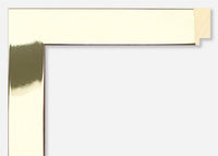 Custom Frame CFCYG2007