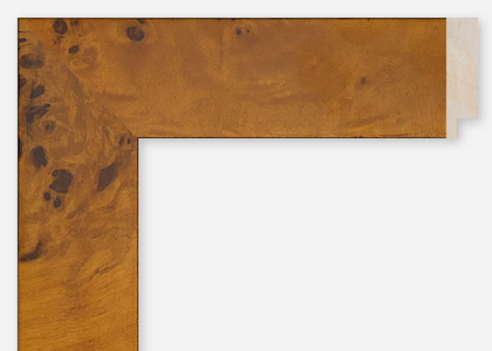 Custom Frame CFCDMS-10004