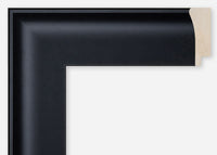 Custom Frame CFCDMS-10021
