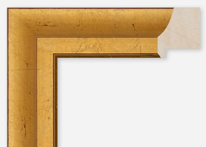 Custom Frame CFCDMS-10065