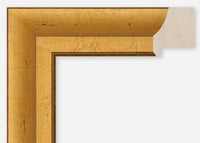 Custom Frame CFCDMS-10065