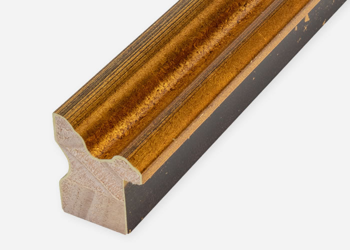 Custom Frame CFCDMS-1009