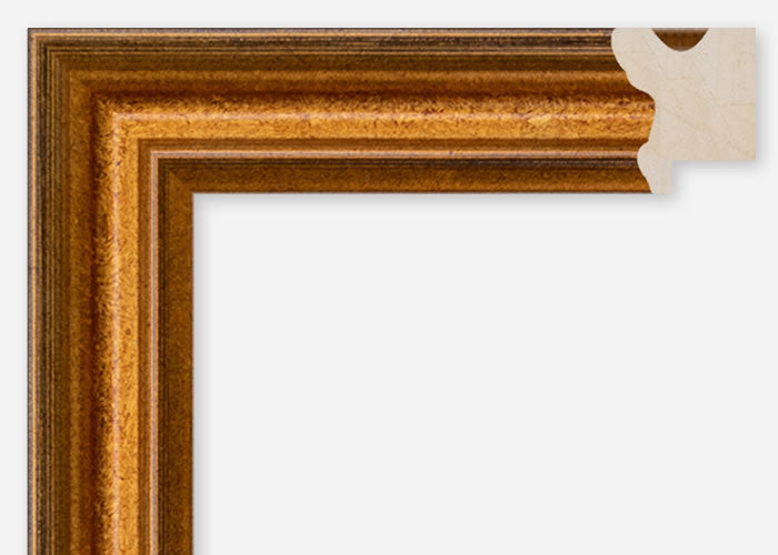 Custom Frame CFCDMS-1009
