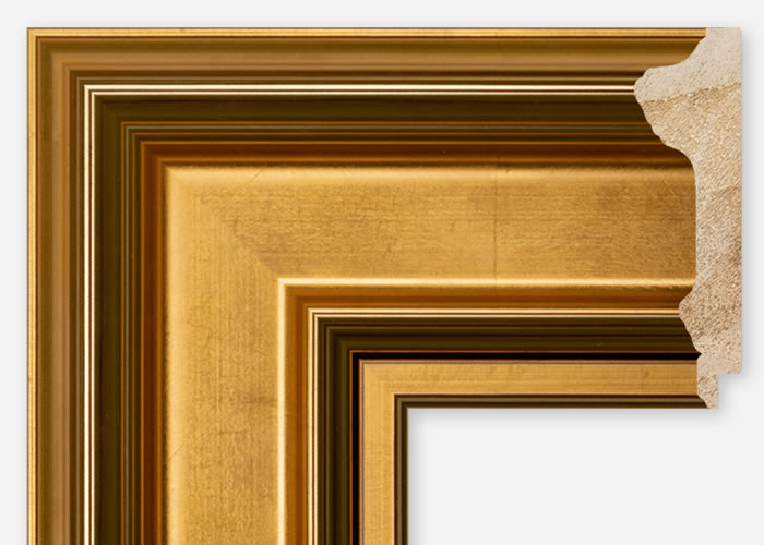Custom Frame CFCDMS-10116x