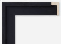 Custom Floater Frame CFCDMS-10117x