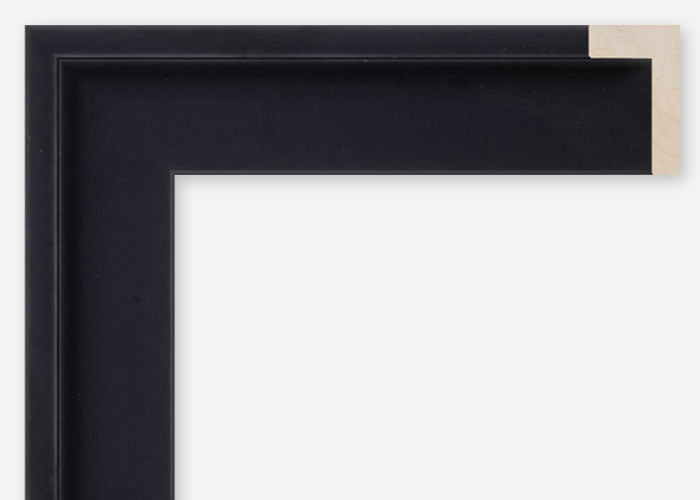 Custom Floater Frame CFCDMS-10117x