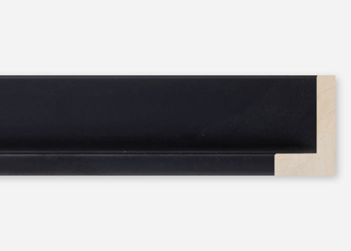 Custom Floater Frame CFCDMS-10117x