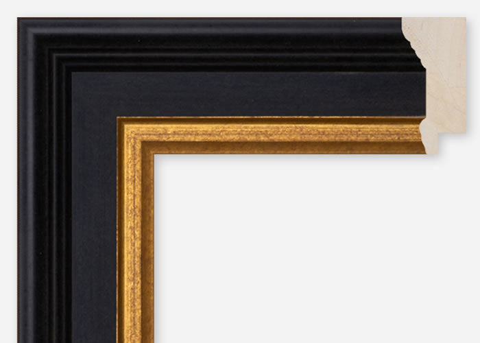Custom Frame CFCDMS-10124