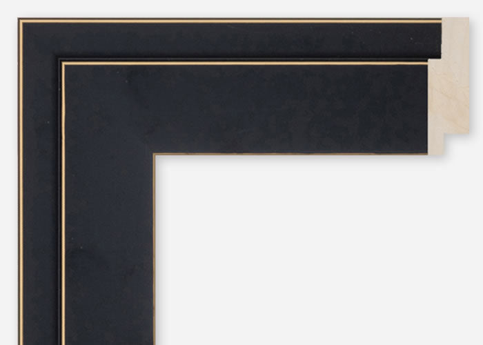 Custom Frame CFCDMS-10172