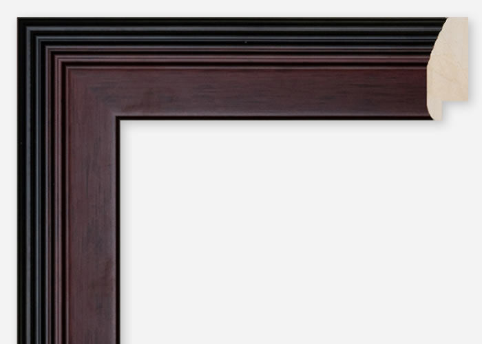 Custom Frame CFCDMS-10212