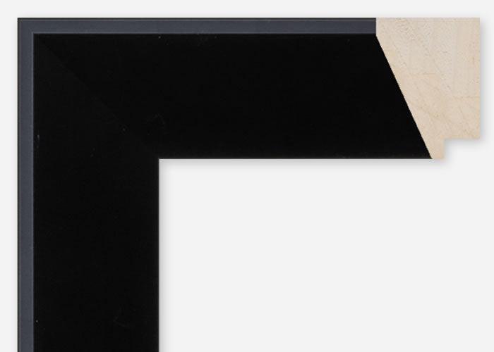 Custom Frame CFCDMS-10304