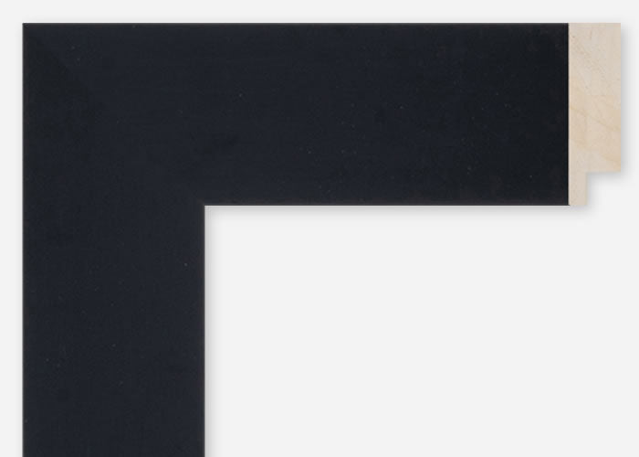 Custom Frame CFCDMS-10336