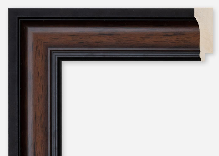 Custom Frame CFCDMS-10378