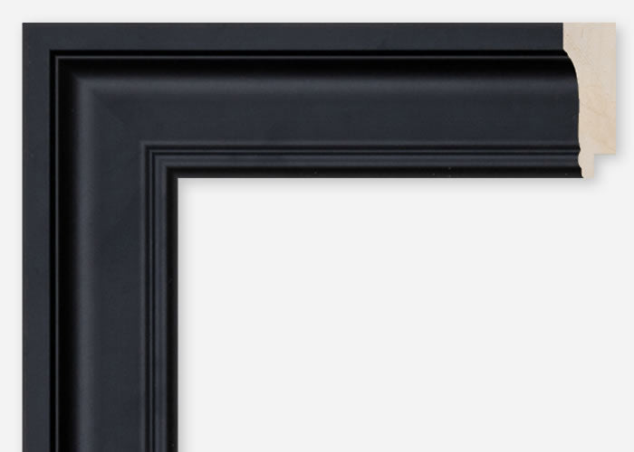 Custom Frame CFCDMS-10379