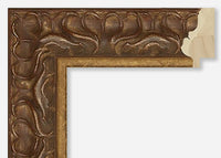 Custom Frame CFCY1041-9169