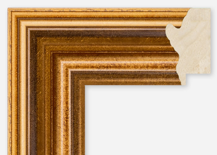 Custom Frame CFCDMS-1041