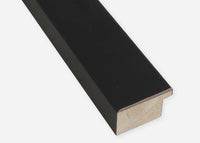 Custom Frame CFCDMS-10421