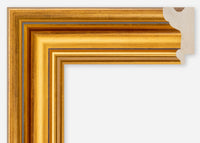 Custom Frame CFCDMS-1043
