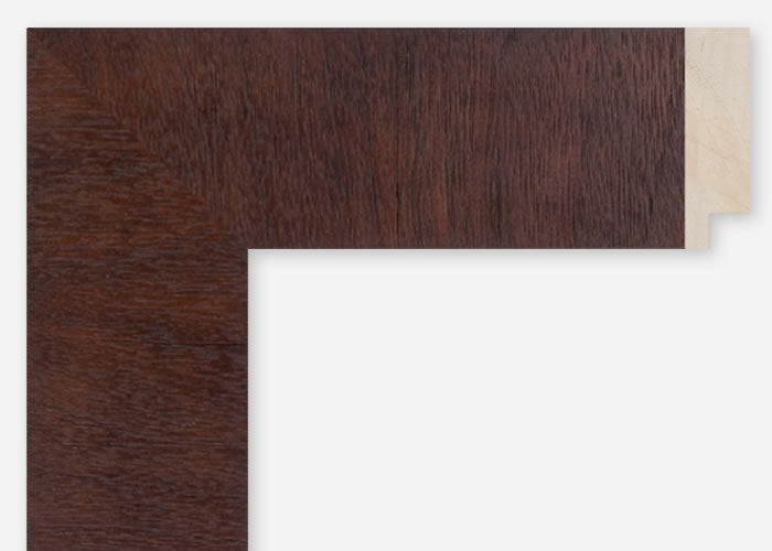 Custom Frame CFCDMS-10458