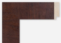 Custom Frame CFCDMS-10458