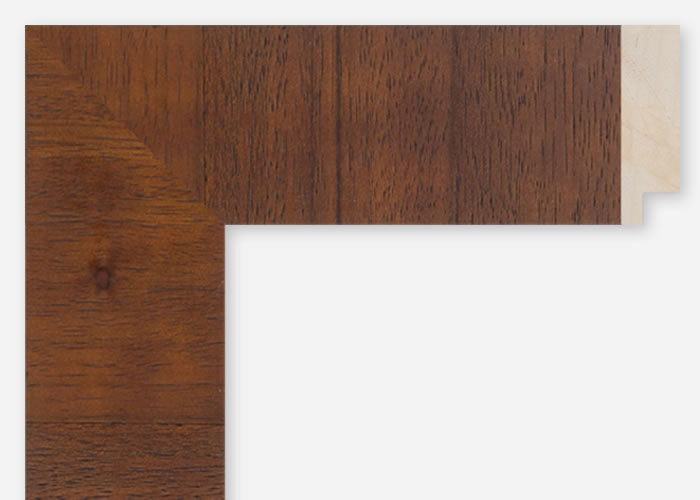 Custom Frame CFCDMS-10459
