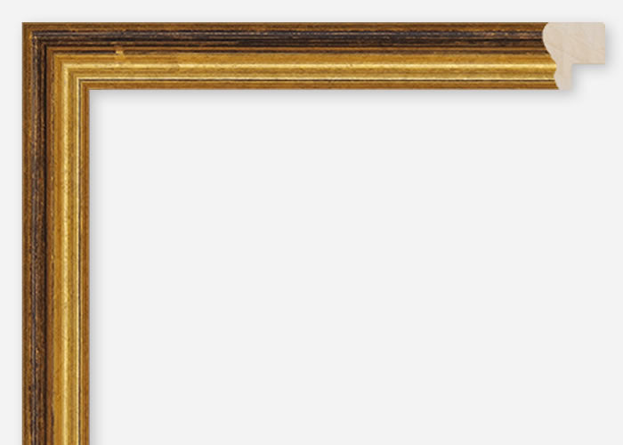 Custom Frame CFCDMS-1046
