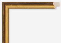 Custom Frame CFCDMS-1046