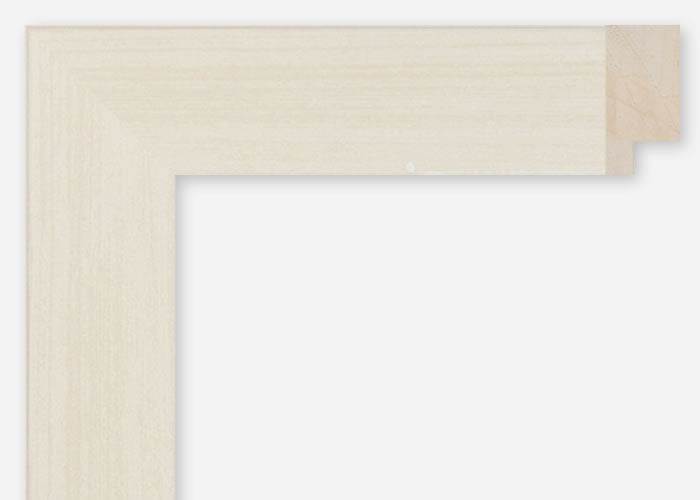 Custom Frame CFCDMS-10471