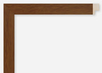 Custom Frame CFCDMS-10481