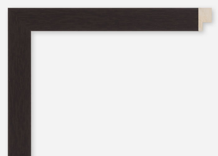 Custom Frame CFCDMS-10482
