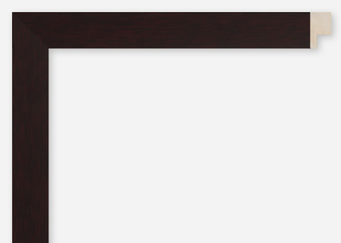 Custom Frame CFCDMS-10483