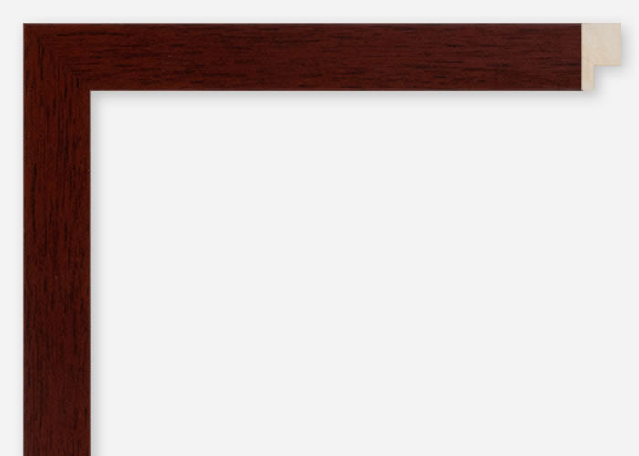 Custom Frame CFCDMS-10484