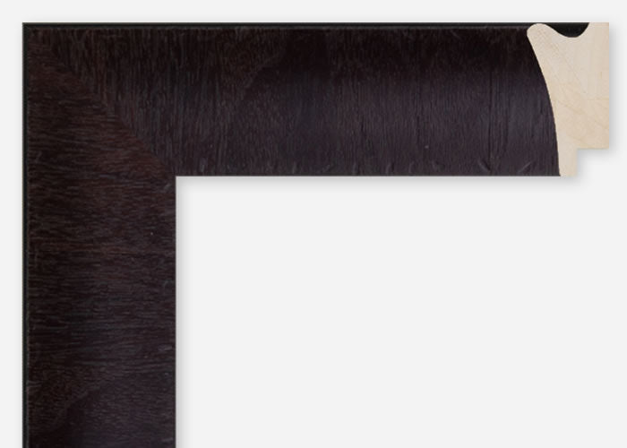 Custom Frame CFCDMS-10527