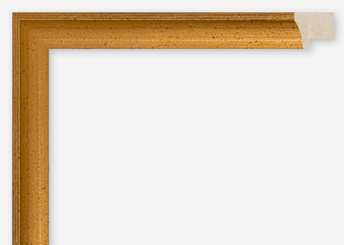 Custom Frame CFCDMS-10541