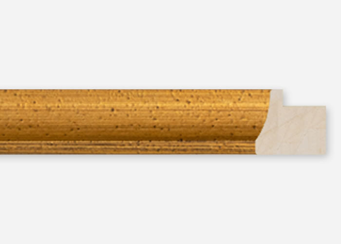 Custom Frame CFCDMS-10541