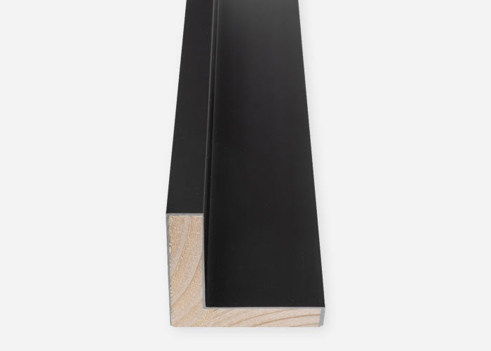 Custom Floater Frame CFCDMS-10548