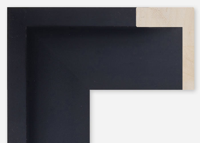 Custom Floater Frame CFCDMS-10548