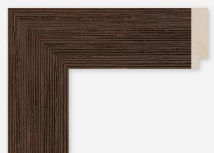 Custom Frame CFCDMS-10572