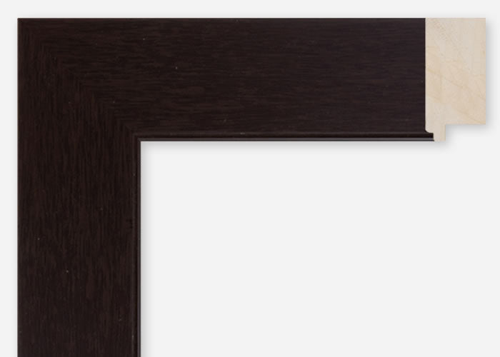 Custom Frame CFCDMS-10578